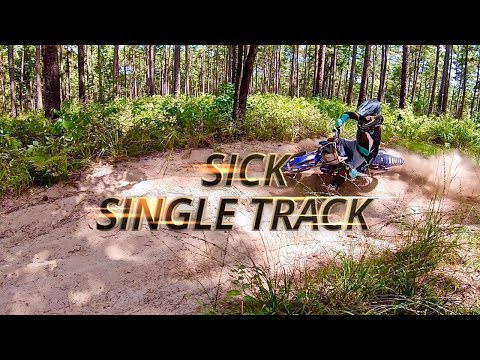 image-Can you drive through Sam Houston Statepark?