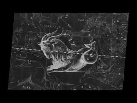 Nemesis Pauanne Dm 2006