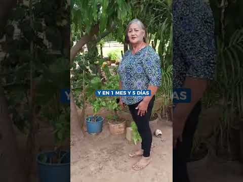 ¡La constancia siempre da frutos! 🌟