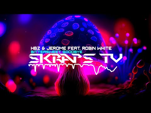 HBz & Jerome Feat. Robin White - Bittersweet Goodbye