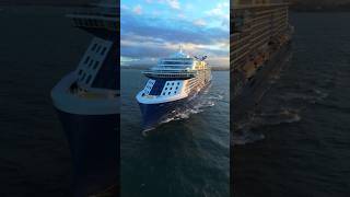 🔵⚪️CELEBRITY APEX🌊  #cruiseship #cruisetour #cruise