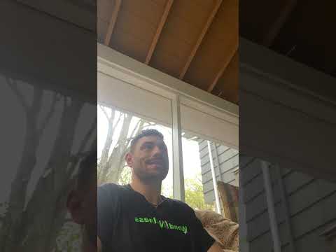 Dietary Alterations and Supplementation for ADHD