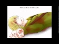 HetaOni Uninstall English Version (New Complete ...