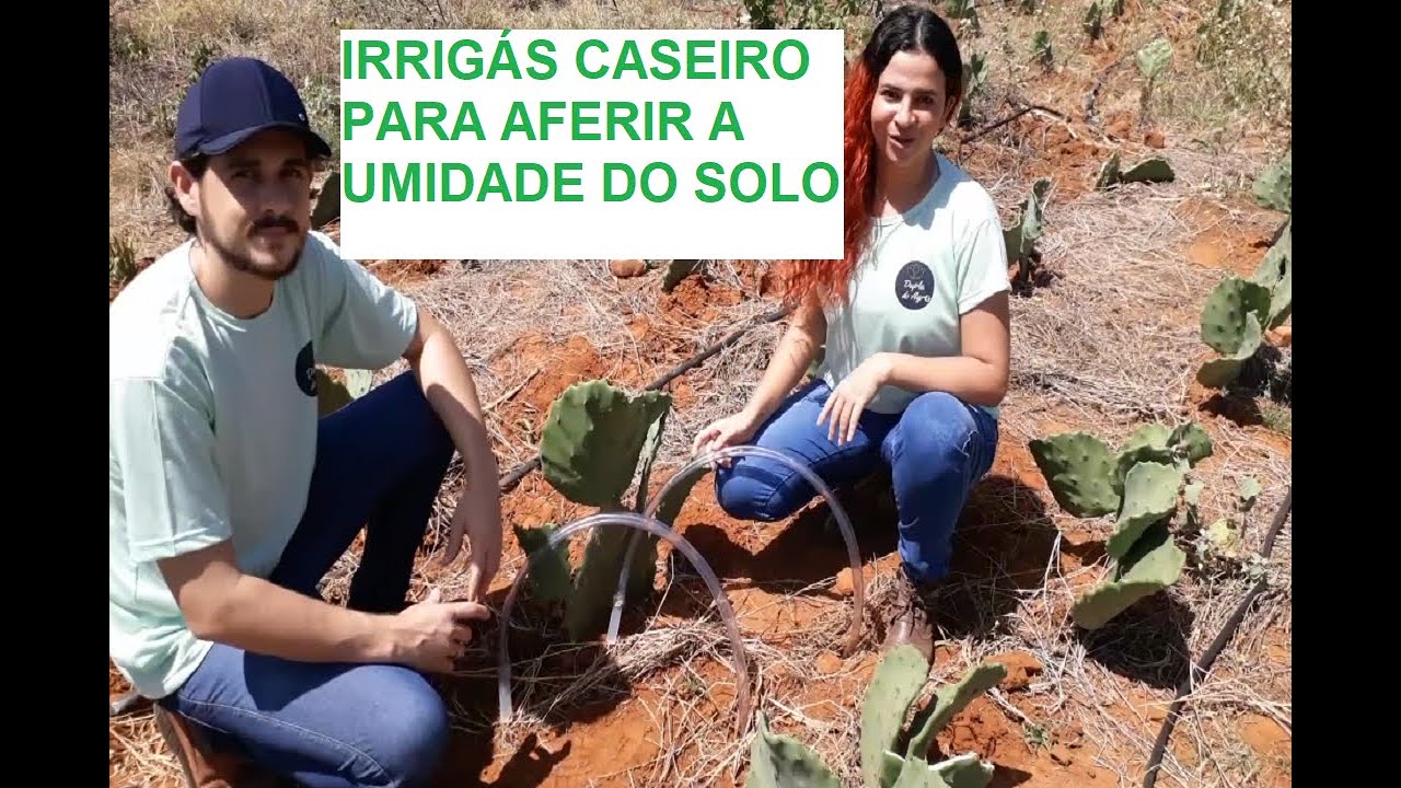 APRENDA A FAZER SEU PRÓPRIO SENSOR DE UMIDADE DO SOLO | IRRIGÁS | Como saber quando e quanto irrigar