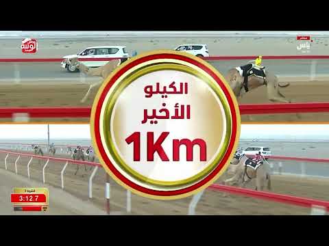ش 3 (ملامح) لـ ناصر عبدالله سعيد بن فارس الدرعي 4:34:64 ، مهرجان العين 2026/07/08 لقايا الروضة