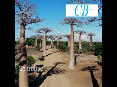 Voyage de groupe à Madagascar