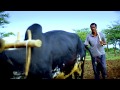Woyyoo Yaa Sangaa Dhabaa Dagim Mekonnen New Song 2017