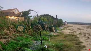 Somers Point Live Birdfeeder Cam looking East live webcam