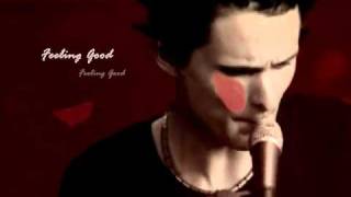 Muse - Feeling Good (Promo) Without Megaphone