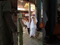 Dr Veerendra Heggade Sri Kshetra Dharmasthala 3million View Blessed Temple Templesofindia 🫶