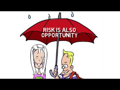 What is Enterprise Risk Management?