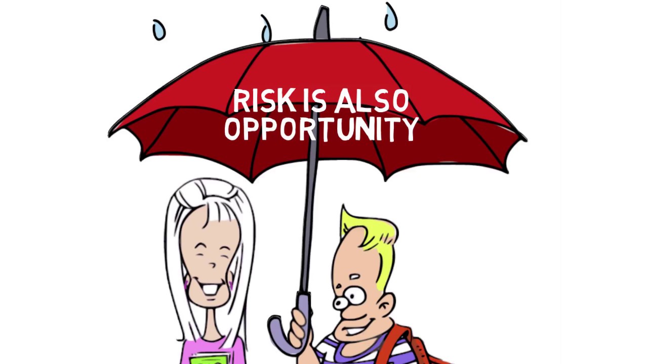 What is Enterprise Risk Management?