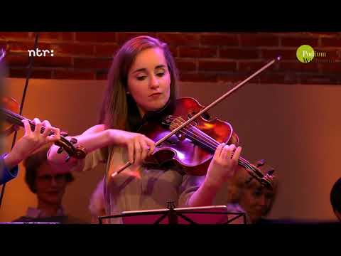 Daria van den Bercken & Dudok Kwartet - Menuet met zwikje - Guus Janssen | Podium Witteman