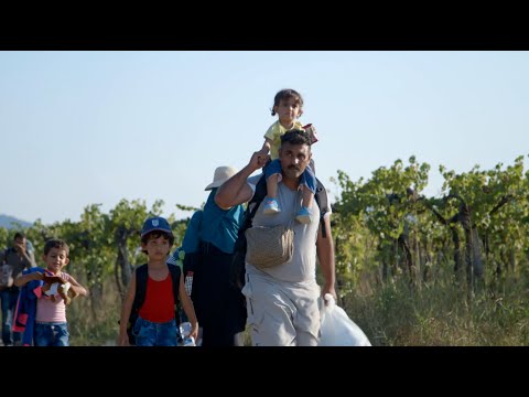 Escaping War: Europe's Refugees Tell Their Stories