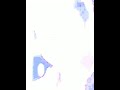 Ishu Love ️for Surya Watsapp Status Primevideo KishoEditz13874 Zeemusiccompany Tseries