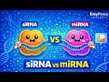 SiRNA Vs MiRNA What S The Difference RNA Interference Made Easy