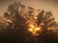 Tennessee Sunrise