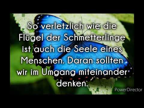 Die Botschaft von Liebe und Respekt für eine Ehe nach Gottes Gedanken