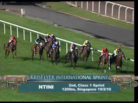 KrisFlyer International Sprint 2010 Contenders (Ntini)