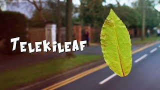 Telekileaf | a short film about an angry leaf | by Luke Cutforth
