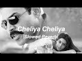 Cheliya Cheliya  [Slowed-Reverb] - Gharshana