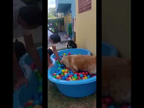 Área de Lazer com Piscina