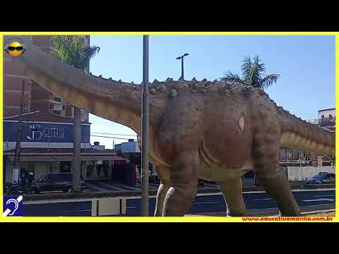 Tv Educativa Giro Pela Cidade Avenida São Luiz - Marília S.P.