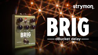 Strymon Brig dBucket Delay Video