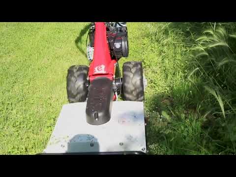 Tondeuse débroussailleuse Minieffe moteur B&S 625 - marche arrière - 53 cm EUROSYSTEMS