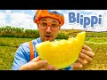 Blippi Visits Tanaka Farms Blippi Learning Videos For Kids Educational Videos For Toddlers