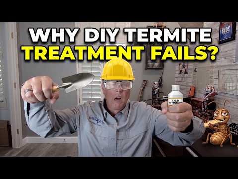 Why DIY Termite Treatments Always Make the Problem Worse