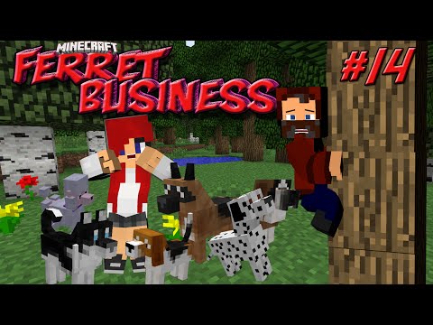 "HEATHER PROOF BOX!" FERRET BUSINESS WITH HEATHER #14