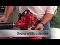 Shindaiwa B450 Desmalezadoras