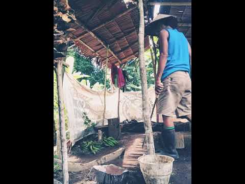 Petani kopra galela (persiapan kekebun)