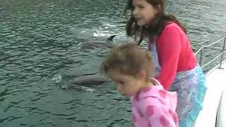 preview picture of video 'PART TWO Smith Family Easter Holiday - DOLPHINS!'