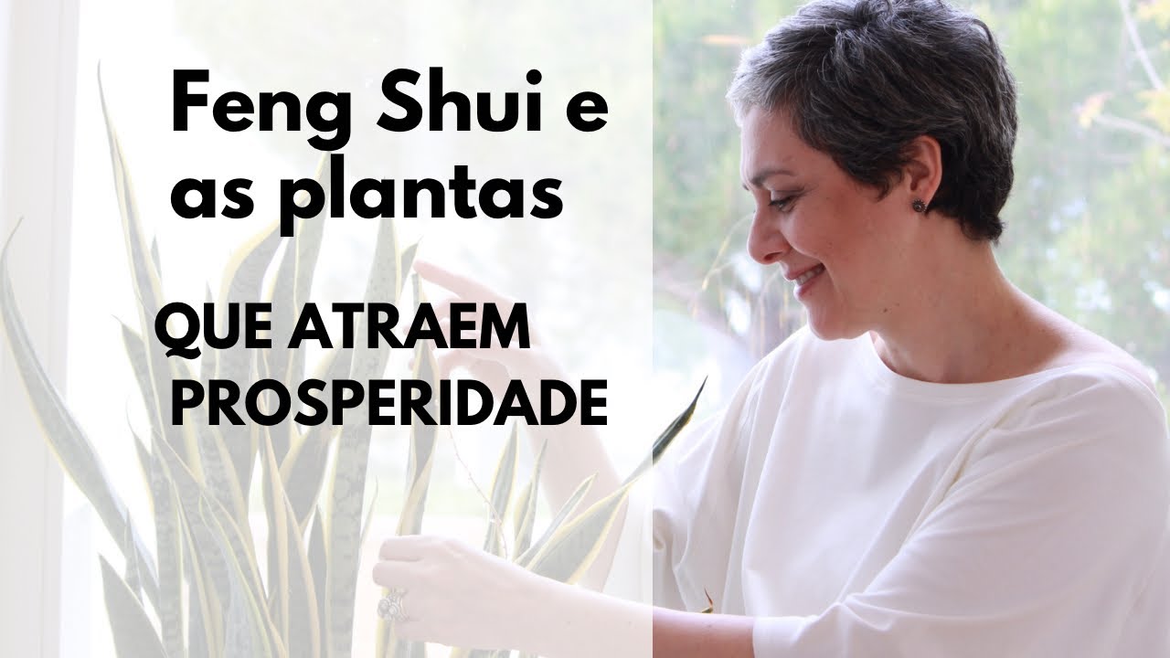 🌱FENG SHUI E AS PLANTAS PARA ATRAIR PROSPERIDADE