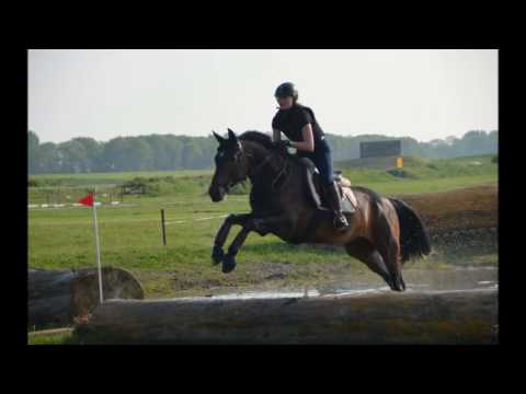 Cross training - 27 mei 2016 - Manege Beukers