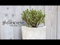 38 4 NURSERY POTS