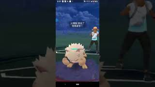 [發問] 碰到可以跟護城龍55開的盔甲鳥