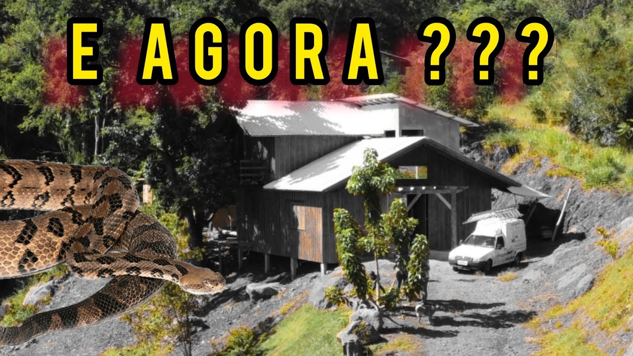 Infestação De Cobras No Sítio E Agora??