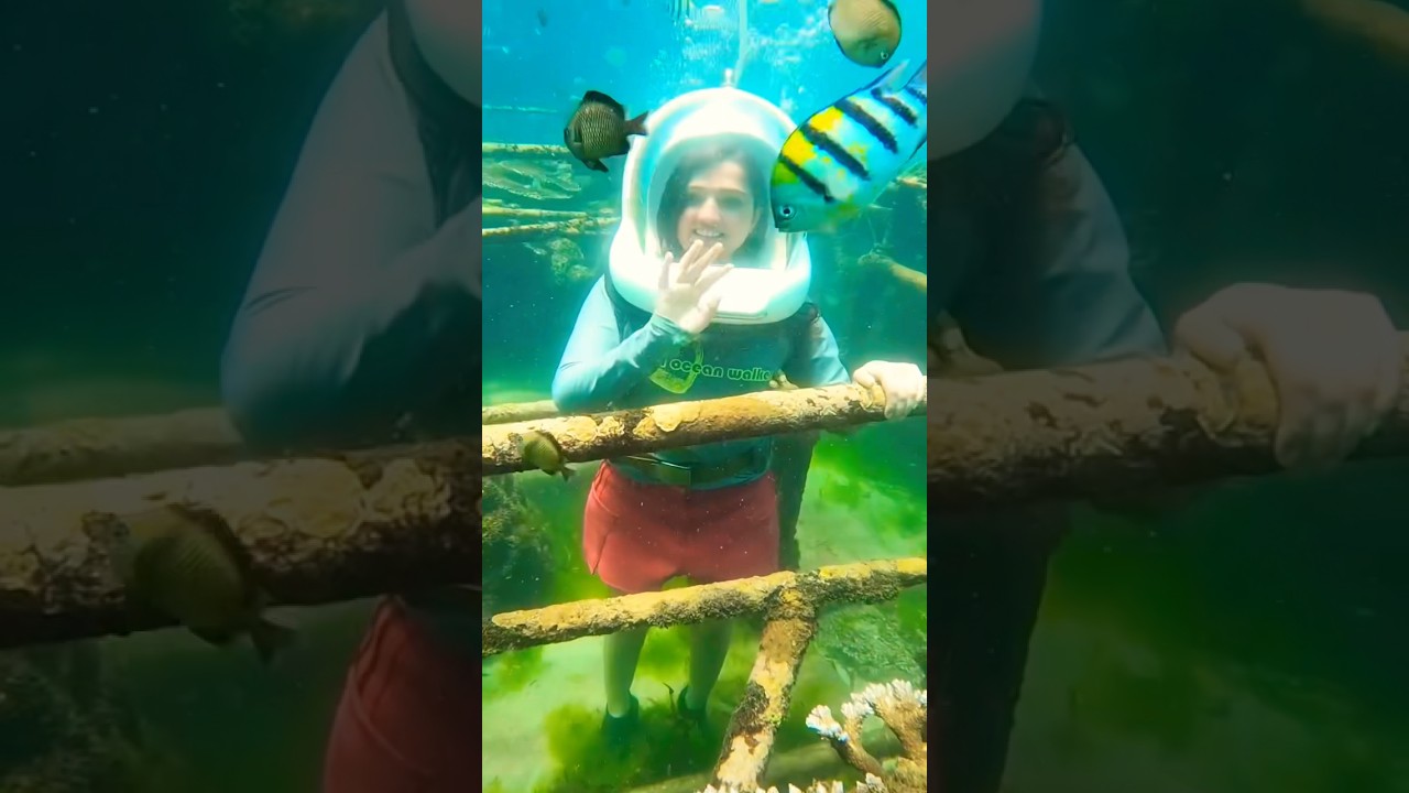 YouTube Short thumbnail