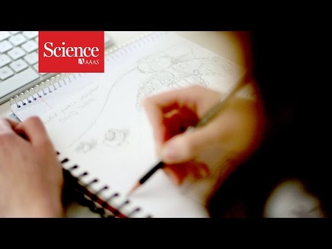 XX Files : Drawn to scale : Val Altounian