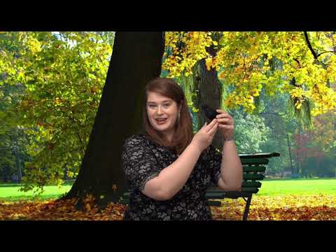 Poisoning Pigeons in the Park