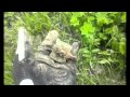 Искатели 47 регион. Старина от Соломинки/Search coins & relics with a metal detector Искатели 47 регион. Старина от Соломинки/Search coins & relics with a metal detector