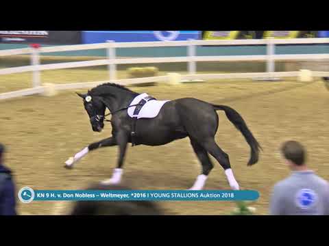 KN 9 v. Don Nobless / Weltmeyer - Longe