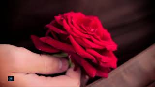 Matt Darey feat. Kate Louise Smith - I Still Remember (Museartic Radio Edit)