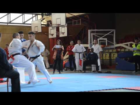 Kyokushin Union World Cup 2013 - 4