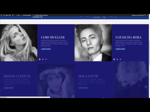 Installation der Divi Child Themes red-, blue und greenline