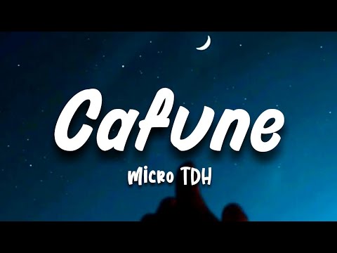 CAFUNE - MICRO TDH (Letra/LYRICS)