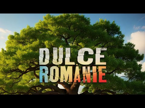FLOU REGE x NIMENI ALTU' - Dulce Românie (Visualizer)